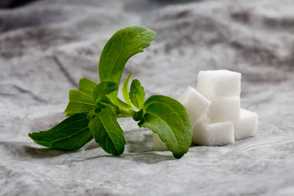 Stevia is not natural