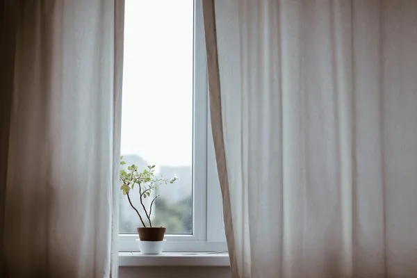 Apply window insulation film to minimize heat loss