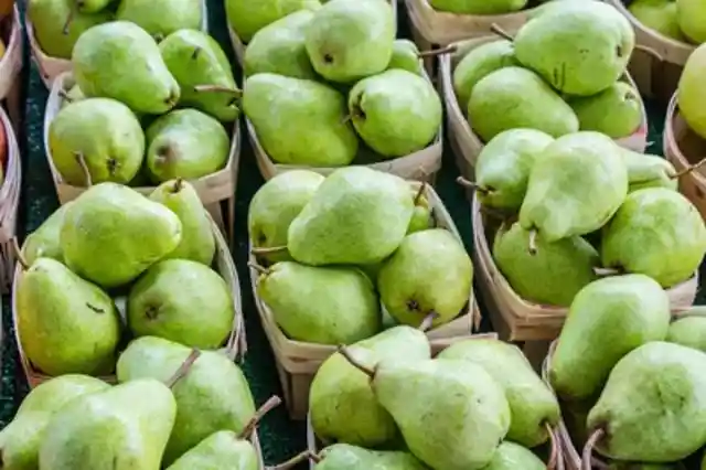 Chinese medicine recommends eating pears to improve lung health