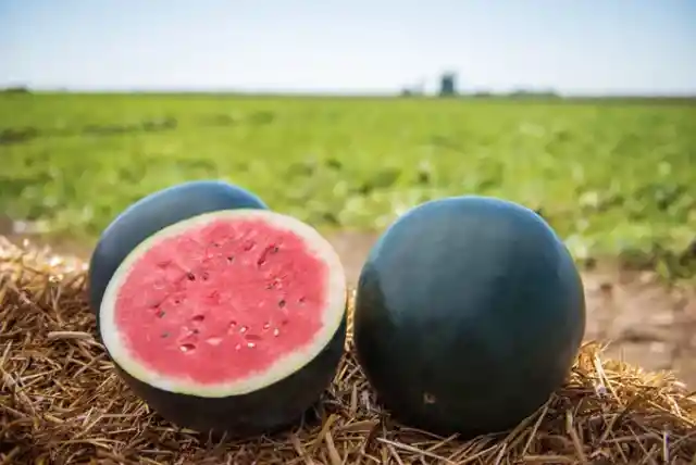 Black watermelon - $6,000