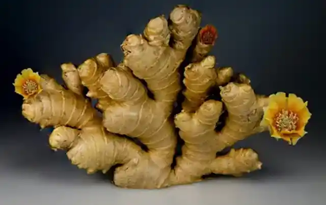 Ginger can aid healthy digestion
