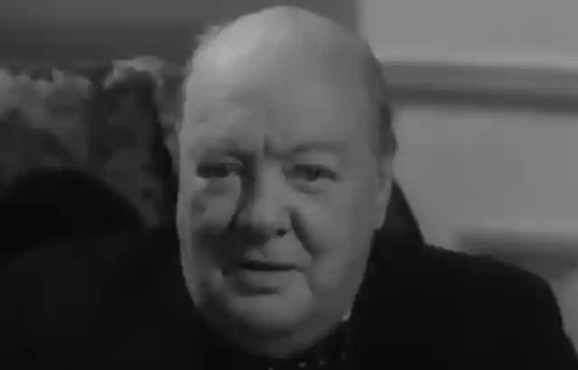 Turtle soup - Winston Churchill