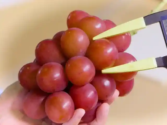 Ruby Roman grapes - $1,000