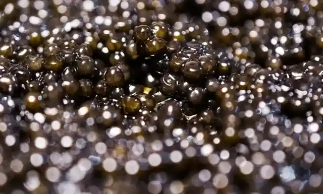 Beluga caviar - $34,500
