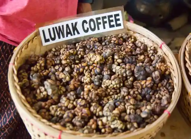 Kopi Luwak coffee - $700