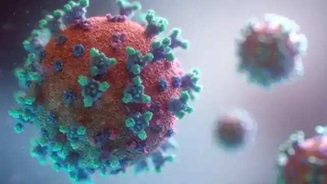 Your immune system could strengthen