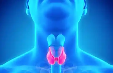 Your thyroid could function more efficiently