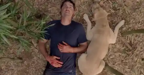 Matthew Fox was actually stabbed in the last episode of Lost