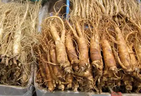 Korean red ginseng is believed to improve mental function