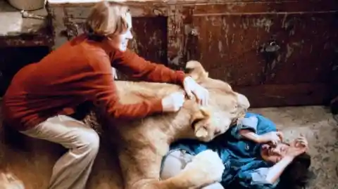 Melanie Griffith was mauled by a lion on Roar
